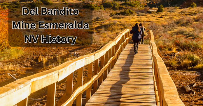 The History of Del Bandito Mine, Esmeralda, NV