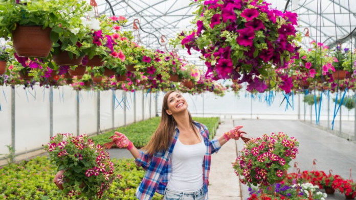 The Avenue of Roses:Dive into Brandom Drive, Portland