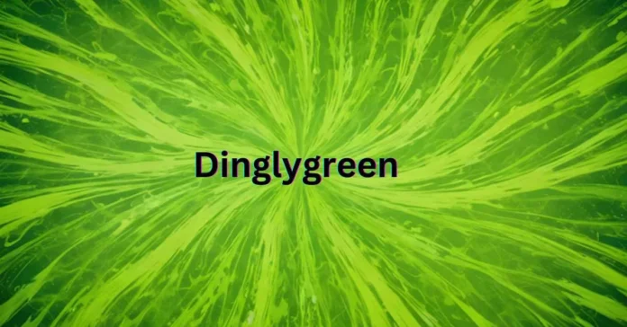 DinglyGreen: A New Approach to Sustainable Living and Eco-Friendly Design