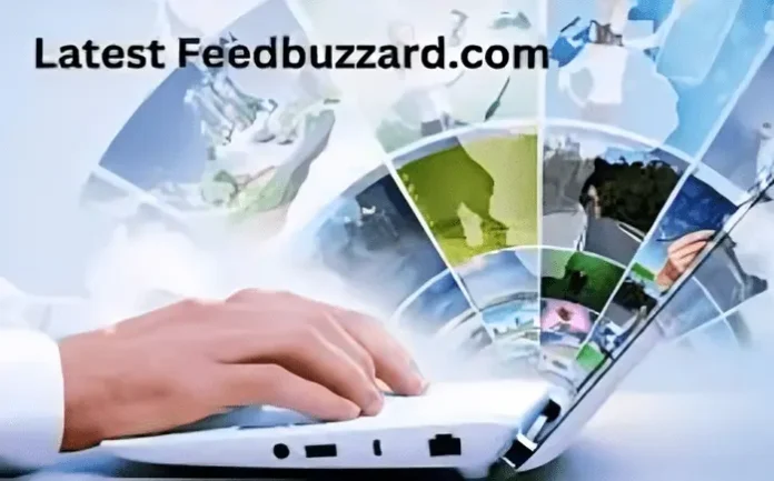 Features of FeedBuzzard.com:Comprehensive Overview