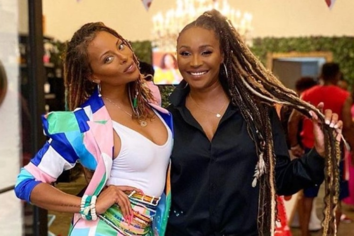 Eva Marcille and Her Twin Sister: Separating Facts